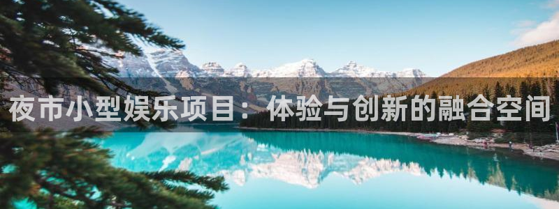 长运娱乐平台：夜市小型娱乐项目：体验与创新的融合空间