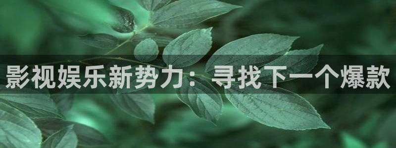 长运娱乐主管：影视娱乐新势力：寻找下一个爆款