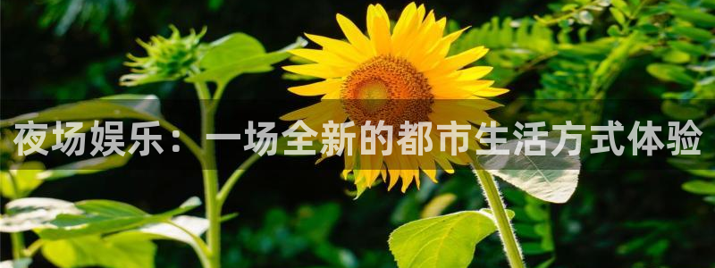 长运娱乐官网登录入口：夜场娱乐：一场全新的都市生活方式体验